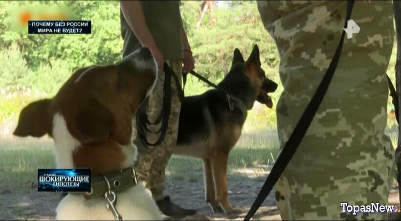 Почему без России мира не будет?