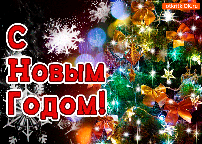 Праздничные программы в Новый 2026 год