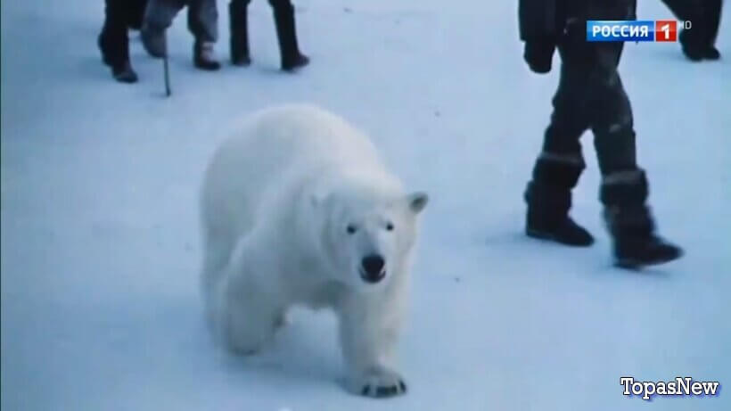 Песни от всей-души 15 03 26