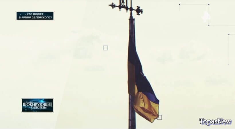 Кто воюет в армии Зеленского?