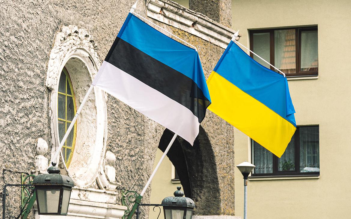 В Эстонии предложили ограничения, под которые подпадет флаг Украины смотреть онлайн
