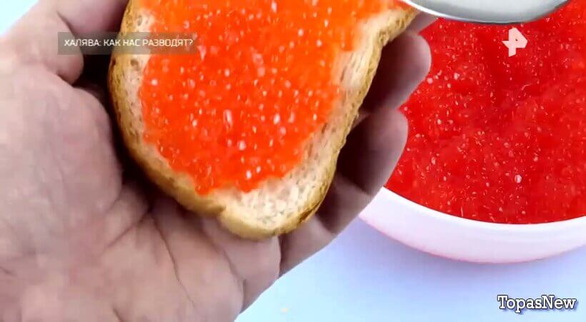 Спецпроект. Халява: как нас разводят?