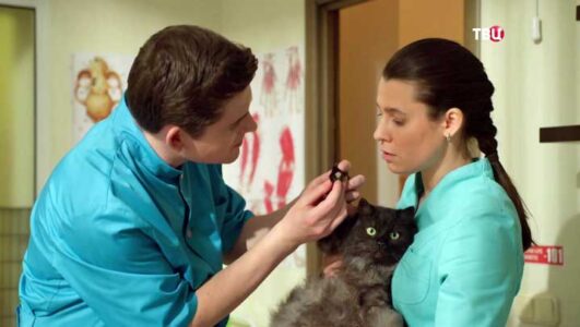 Мои звери 4 сезон все серии 2025