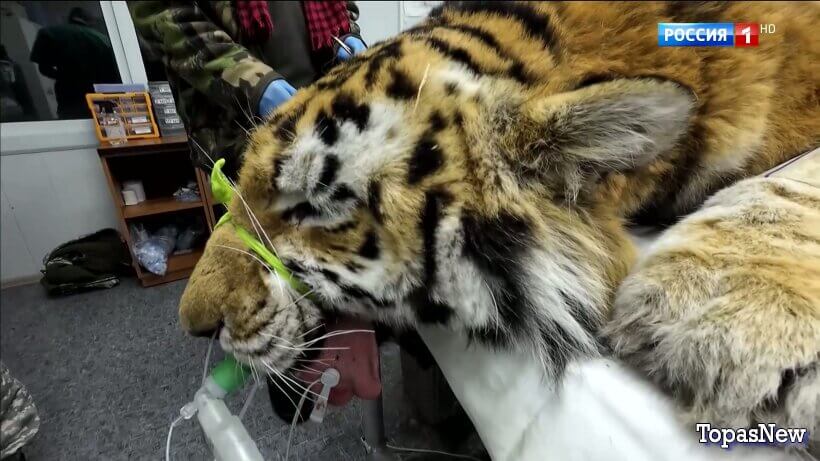 Вести 20.00 14.02.26