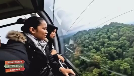 Невероятно интересные истории 12.03.2026