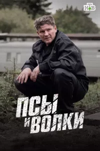 Псы и волки (Сериал 2026)